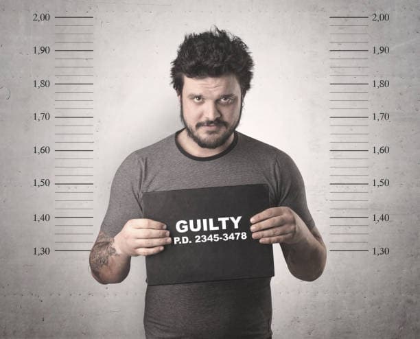 Priority Offender Programs